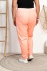DSC07980.jpg