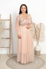 DSC07382.jpg