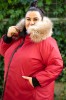 DSC_0031.jpg