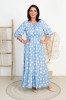 DSC07842.jpg