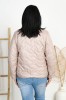 DSC07511.jpg