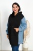 DSC08837.jpg