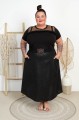 DSC03179.jpg