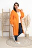 DSC01672.jpg