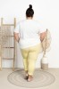 DSC03532.jpg