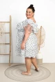 DSC08756.jpg